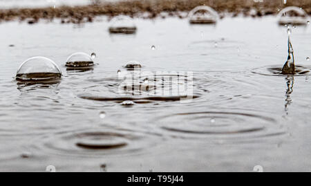 Berlino, Germania. 16 Maggio, 2019. Le gocce di pioggia caduta in una pozza e creare forme artistiche attraverso l'impatto. Credito: Paolo Zinken/dpa/Alamy Live News Foto Stock