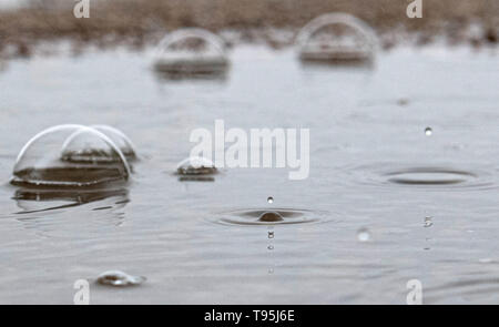 Berlino, Germania. 16 Maggio, 2019. Le gocce di pioggia caduta in una pozza e creare forme artistiche attraverso l'impatto. Credito: Paolo Zinken/dpa/Alamy Live News Foto Stock