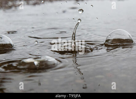 Berlino, Germania. 16 Maggio, 2019. Le gocce di pioggia caduta in una pozza e creare forme artistiche attraverso l'impatto. Credito: Paolo Zinken/dpa/Alamy Live News Foto Stock