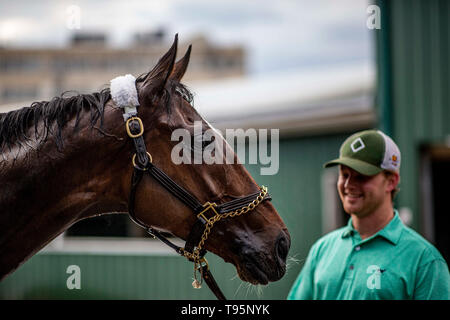 Baltimore, Maryland, Stati Uniti d'America. 16 Maggio, 2019. BALTIMORE, MARYLAND - 16 Maggio: Golden Award al Preakness Stakes di Pimlico racecourse a Baltimora, Maryland il 16 maggio 2019. Evers/Eclipse Sportswire/CSM/Alamy Live News Foto Stock