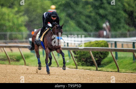 Baltimore, Maryland, Stati Uniti d'America. 16 Maggio, 2019. BALTIMORE, MARYLAND - 16 Maggio: Anothertwistafate si prepara per il Preakness Stakes di Pimlico racecourse a Baltimora, Maryland il 16 maggio 2019. Evers/Eclipse Sportswire/CSM/Alamy Live News Foto Stock