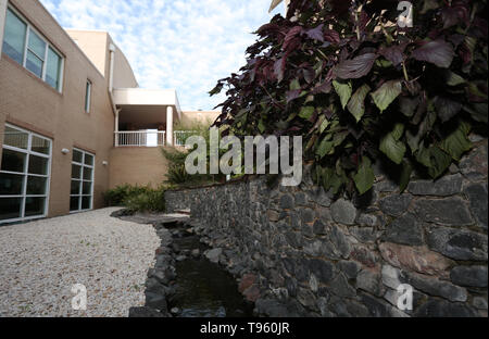 (190517) -- Pechino, 17 maggio 2019 (Xinhua) -- Foto scattata il 8 aprile 2019 mostra la medicina tradizionale cinese le erbe aromatiche coltivate al di fuori della medicina cinese centro della Western Sydney University (WSU) a Sydney, in Australia. (Xinhua/Bai Xuefei) Foto Stock