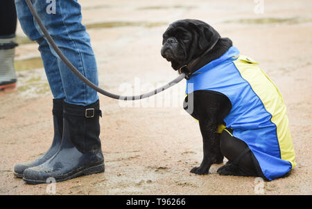 Zinnowitz, Germania. Il 17 maggio 2019. Un cane in un caldo giubbotto di pioggia si siede su un percorso del lungomare. I meteorologi si aspettano condizioni atmosferiche variabili presso il Mar Baltico anche nei prossimi giorni. Credito: Stefan Sauer/dpa-Zentralbild/ZB/dpa/Alamy Live News Foto Stock