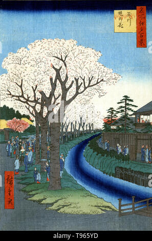 Tamagawa zutsumi-no hana. Fiorisce sul fiume Tama embankment. Stampa mostra i turisti dei ciliegi lungo le rive del fiume Tama a Edo. Un fiore di ciliegio (comunemente noto in Giappone come Sakura è il fiore di qualsiasi di diversi alberi del genere Prunus, in particolare la ciliegia giapponese, Prunus serrulata. Foto Stock