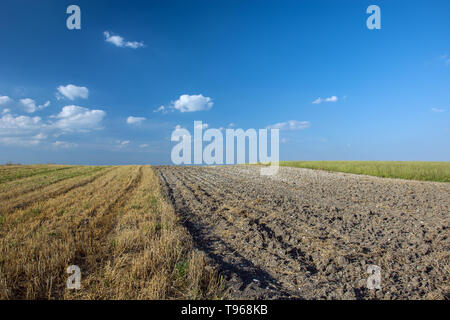 Campo Arato delimitata da stoppie, orizzonte e nuvole bianche su un cielo blu Foto Stock