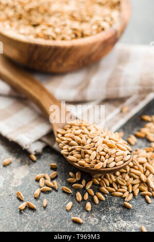 Una sana chicchi di farro in cucchiaio di legno. Foto Stock