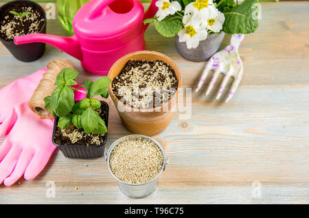 La miscelazione di vermiculite e granuli di colore nero con terreno di giardinaggio migliora la ritenzione di acqua, aria, radice di capacità di crescita di tutte le piante che crescono in vaso Foto Stock