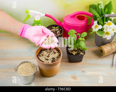 Donna giardiniere mano miscelando la vermiculite e granuli di colore nero con terreno di giardinaggio migliora la ritenzione di acqua, aria, la crescita di radice delle capacità di tutti i p Foto Stock