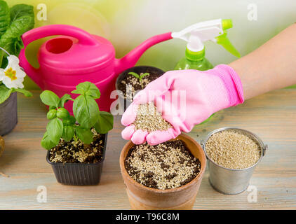 Donna giardiniere mano miscelando la vermiculite e granuli di colore nero con terreno di giardinaggio migliora la ritenzione di acqua, aria, la crescita di radice delle capacità di tutti i p Foto Stock