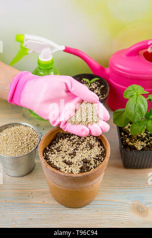 Donna giardiniere mano miscelando la vermiculite e granuli di colore nero con terreno di giardinaggio migliora la ritenzione di acqua, aria, la crescita di radice delle capacità di tutti i p Foto Stock