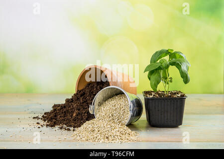 La miscelazione di vermiculite e granuli di colore nero con terreno di giardinaggio migliora la ritenzione di acqua, aria, radice di capacità di crescita di tutte le piante che crescono in vaso Foto Stock