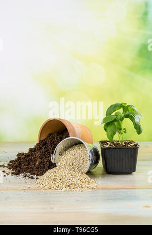 La miscelazione di vermiculite e granuli di colore nero con terreno di giardinaggio migliora la ritenzione di acqua, aria, radice di capacità di crescita di tutte le piante che crescono in vaso Foto Stock