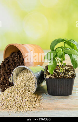 La miscelazione di vermiculite e granuli di colore nero con terreno di giardinaggio migliora la ritenzione di acqua, aria, radice di capacità di crescita di tutte le piante che crescono in vaso Foto Stock