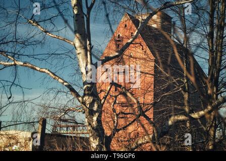 Edificio di fabbrica dietro alberi sfrondato in Magdeburg Foto Stock