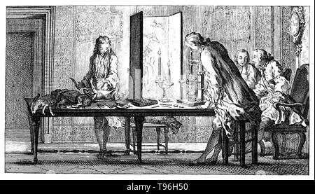 Buffon e i suoi amici che studiano la generazione di mammifero mediante il microscopio. Georges Louis Leclerc, Comte de Buffon (7 settembre 1707 - 16 Aprile 1788) era un naturalista francese, matematico, cosmologist e autore enciclopedico. Egli incarna i rivoluzionari cambiamenti che il chiarimento ha portato allo studio della natura. Foto Stock