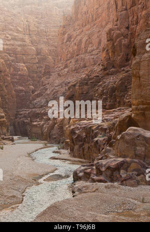 Cañón. Reserva Natural de Mujib. La Valle del Rift. Mar Muerto. Jordania, Oriente Medio Foto Stock