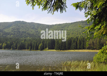 Saint Anne Lago, Szent Anna-tó, Lacul Sfânta Ana, Romania, Europa Foto Stock