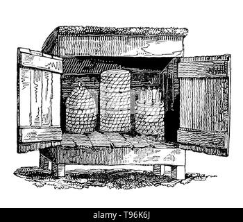 Un alveare è una struttura chiusa man-made in cui alcuni honey bee specie del sottogenere api vivere e allevare i loro piccoli. Diverse specie di api vivono in colonie, ma per la produzione di miele il western miele delle api (Apis mellifera) a est e il miele delle api (Apis cerana) sono le principali specie tenute in arnie. Ci sono quattro stili fondamentali della tradizionale beehive; alveari di fango, argilla/piastrella orticaria, skeps e bee gengive. La tecnologia dell'apicoltura è rimasto abbastanza costante nel corso dei secoli. Foto Stock