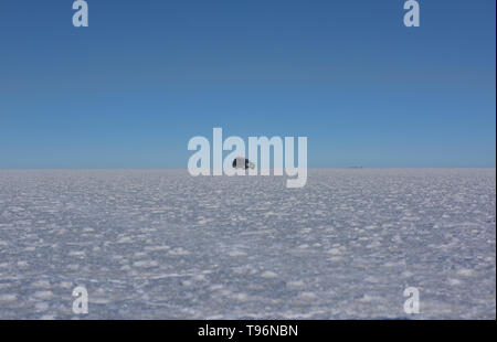 La guida attraverso le infinite piatta sul vasto saline del Salar de Uyuni, Bolivia Foto Stock