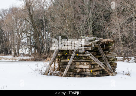 Mucchio di legna da ardere lasciato sul campo in inverno Foto Stock