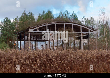 Vecchio rovinato hangar hangar abbandonato nella foresta Foto Stock