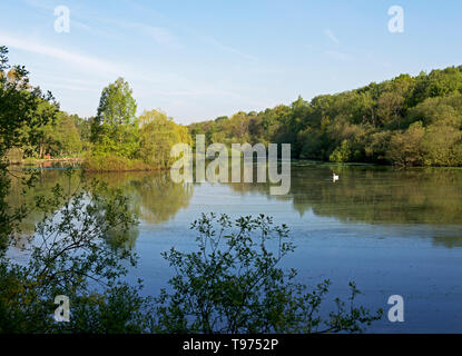 Golden Acre Park, vicino a Bramhope, Leeds, West Yorkshire, Inghilterra, Regno Unito Foto Stock