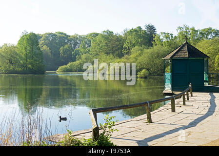 Golden Acre Park, vicino a Bramhope, Leeds, West Yorkshire, Inghilterra, Regno Unito Foto Stock