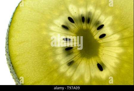 Isolato con retroilluminazione e kiwi su uno sfondo bianco Foto Stock