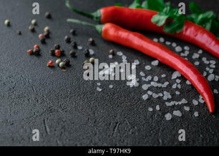 Su sfondo nero chili con rami verdi di coriandolo, risiede nell'angolo superiore destro schizzi di sale marino da loro con il rosso e il nero di pepe, Foto Stock