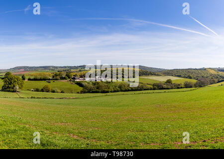 Panta Farm home a Brooke di Wye Valley azienda lattiero-casearia nella valle del Wye, Galles. Jersey latte è utilizzato per il formaggio e gelato. Foto Stock