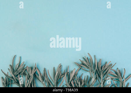 Fogliame, foglie di piante di pastello su sfondo blu. Rami succulenti, houseplant ramoscelli di composizione. La botanica e natura vintage sullo sfondo. Invito a nozze, holiday greeting card concept Foto Stock