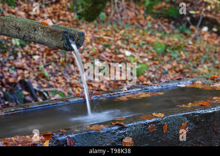 Primavera in montagna di pura, limpida e fresca di acqua con il trogolo di acqua nella foresta. Risorse naturali, acqua fonte concetto. Foto Stock