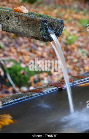 Primavera in montagna di pura, limpida e fresca di acqua con il trogolo di acqua nella foresta. Risorse naturali, acqua fonte concetto. Foto Stock