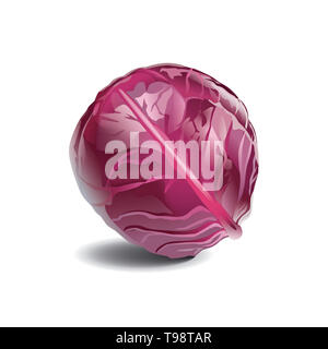 Cavolo rosso isolato su sfondo bianco Foto Stock