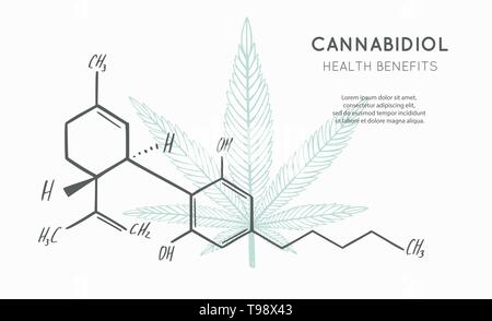 Sfondo vettoriale, banner, poster con formula CBD. Cannabis leaf in medecine concetto. Benefici per la salute Illustrazione Vettoriale