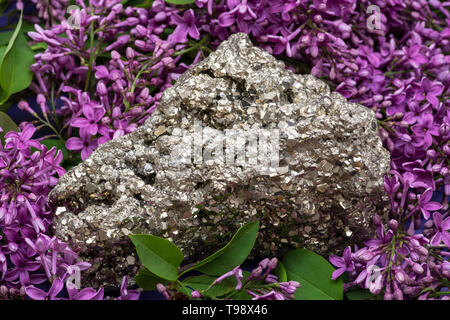 Pirite naturale Cluster campione dal Perù circondato da viola fiori lilla. Foto Stock