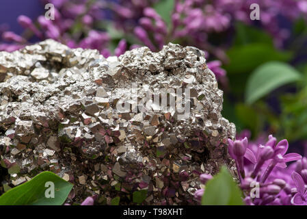 Pirite naturale Cluster campione dal Perù circondato da viola fiori lilla. Foto Stock