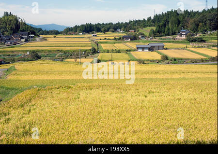 I campi di riso nella periferia di Magome-juku città postale, Nakatsugawa, Giappone con case di abitazione in background. Foto Stock