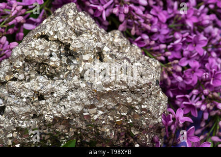 Pirite naturale Cluster campione dal Perù circondato da viola fiori lilla. Foto Stock