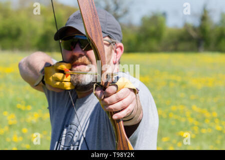 Un campo archer la preparazione di perdere una freccia mediante un americano in legno laminato flatbow Foto Stock