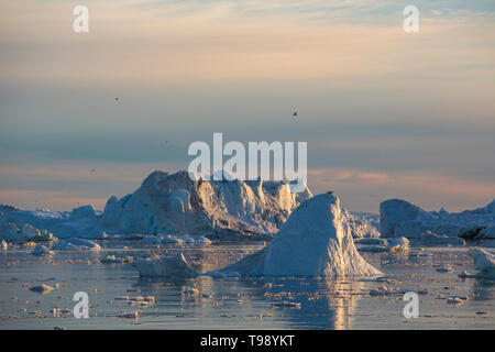 Iceberg nella baia di Disko su Midsummer, Groenlandia Foto Stock