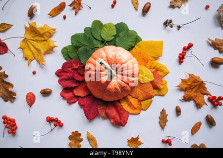 La zucca su un bellissimo sfondo in autunno con le foglie colorate, rowan e ghiande. Foto Stock
