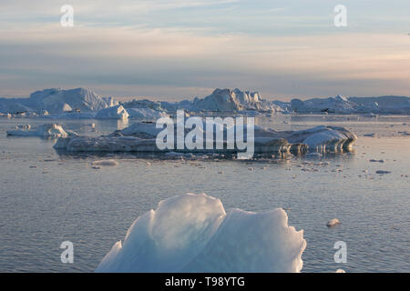 Iceberg nella baia di Disko su Midsummer, Groenlandia Foto Stock