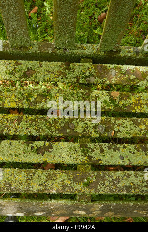 Abstract del banco scanalati rivestiti di alghe, Stratford-su-Avon, England, Regno Unito, Europa Foto Stock