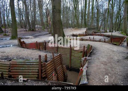 Il conservate trincee in collina 62 Santuario della legna sul fronte occidentale vicino a Ypres, Belgio Foto Stock