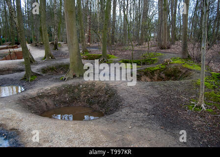 Il conservate trincee in collina 62 Santuario della legna sul fronte occidentale vicino a Ypres, Belgio Foto Stock