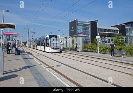 Edinburgh Tram avvicinando Edinburgh Park stop, Scotland, Regno Unito Foto Stock