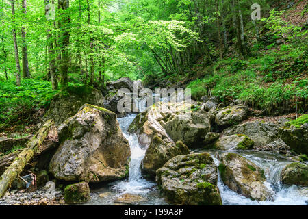 Imponente cascata del piccolo fiume dietersbach in Hölltobel vicino a Oberstdorf Foto Stock