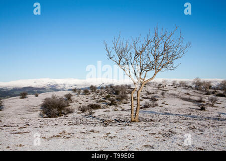 Inquadratura della struttura coperta di neve fells in una limpida giornata invernale vista dalla cicatrice Scout vicino a Kendal Lake District Cumbria Inghilterra England Foto Stock