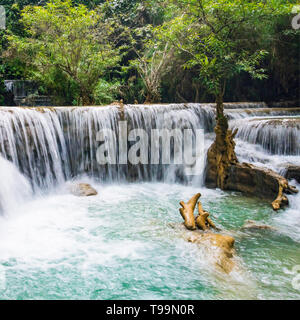 Il Kuang Si cade o noti come Tat Kuang Si cascate. Queste cascate sono un lato preferito viaggio per turisti in Luang Prabang con un blu turchese Foto Stock